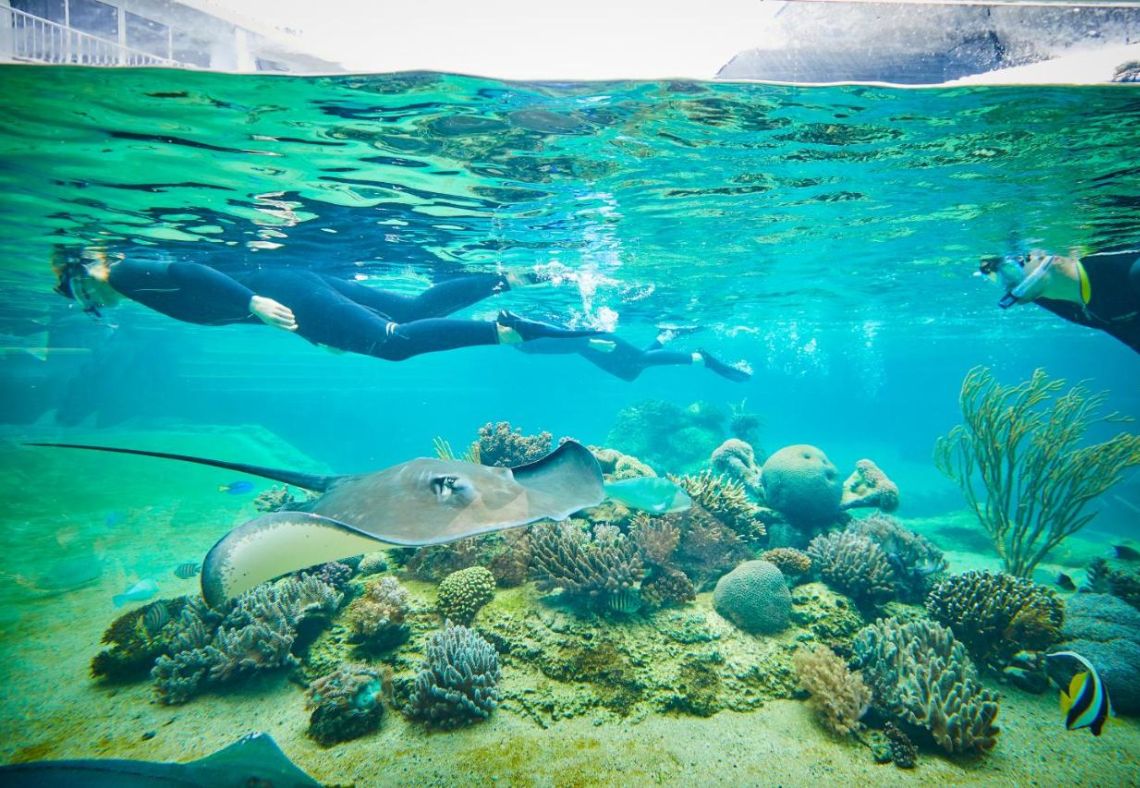 Daydream Island Resort | GO Deal Voucher | $99 Deposit