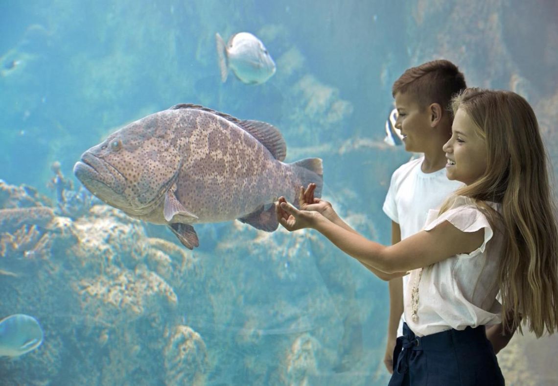 Daydream Island Resort | GO Deal Voucher | $99 Deposit